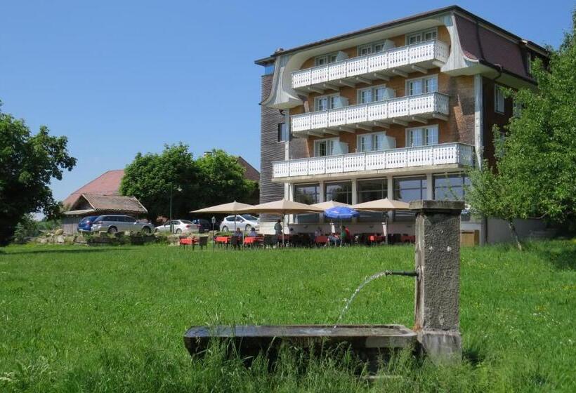 标准间带山景, Restaurant Sternen