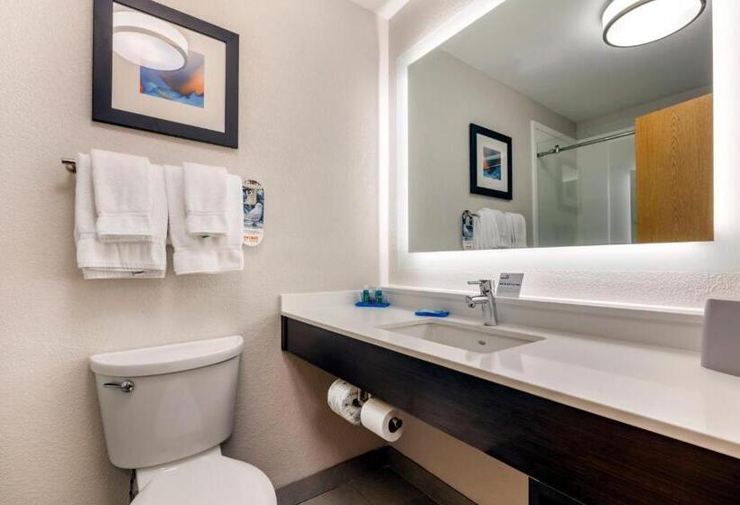 带大床的标准间, Holiday Inn Express Metropolis, An Ihg