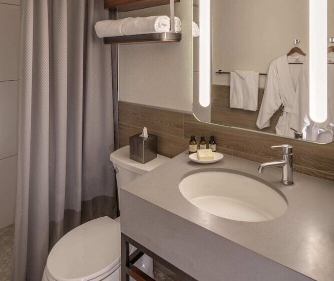 Quarto Estandar Cama Queen, The Wildbirch Hotel - JdV by Hyatt
