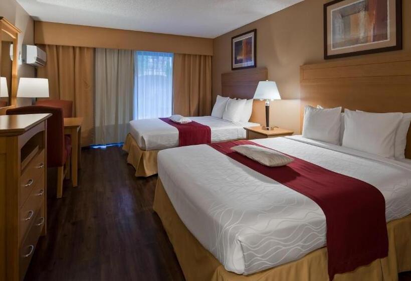 Номер Стандарт, Best Western Plus Palm Desert Resort