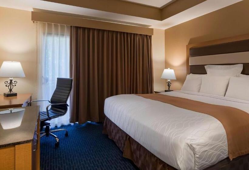 Люкс, Best Western Plus Palm Desert Resort