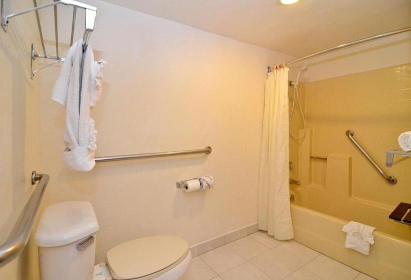 Номер Стандарт Кровать Кинг Адаптированный для Инвалидов, Best Western Plus Palm Desert Resort