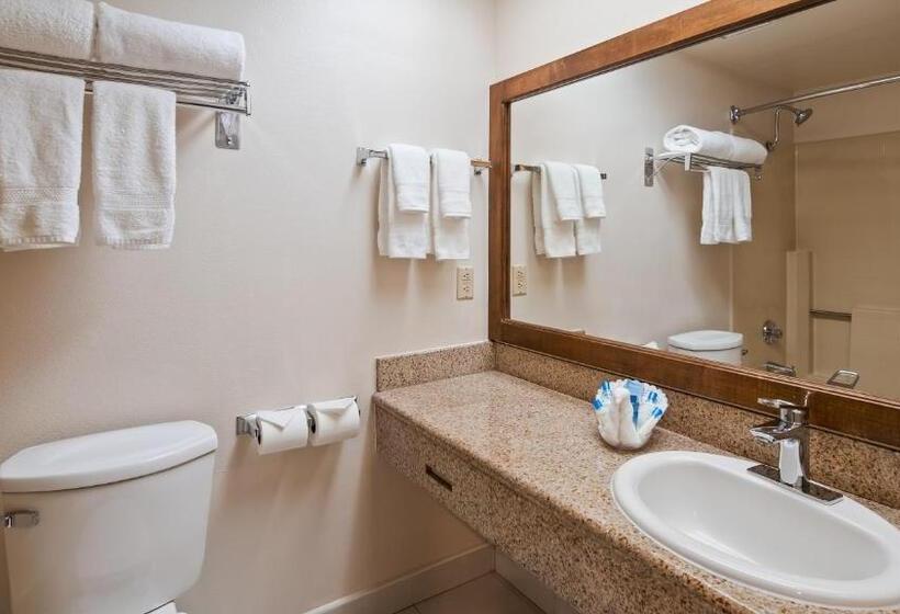 Номер Стандарт Кровать Кинг Адаптированный для Инвалидов, Best Western Plus Palm Desert Resort