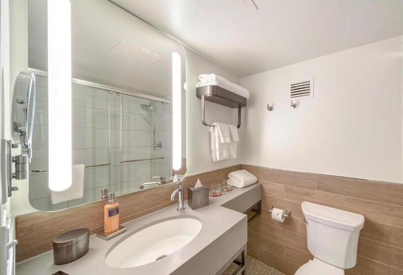 Quarto Estandar Cama Queen, The Wildbirch Hotel - JdV by Hyatt
