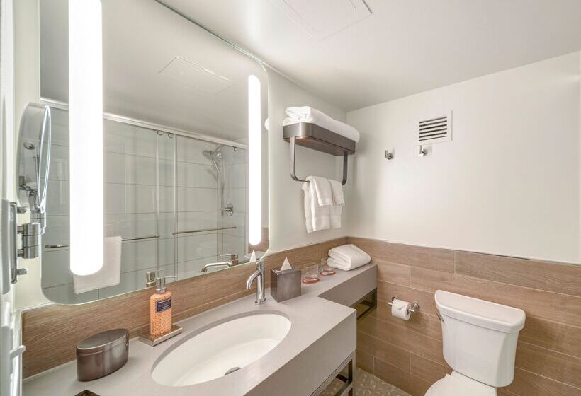 스탠다드 룸 킹사이즈 침대, The Wildbirch Hotel - JdV by Hyatt