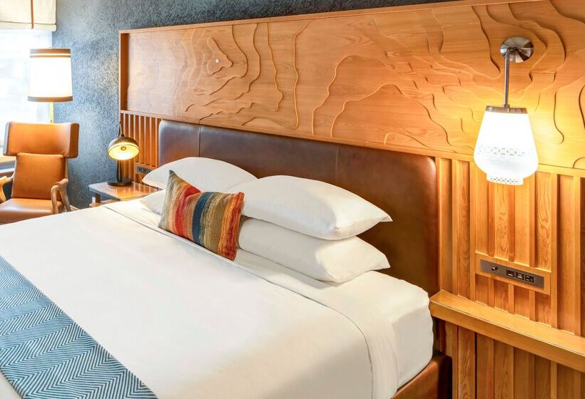 Quarto Estandar Cama King para Deficientes Físicos, The Wildbirch Hotel - JdV by Hyatt