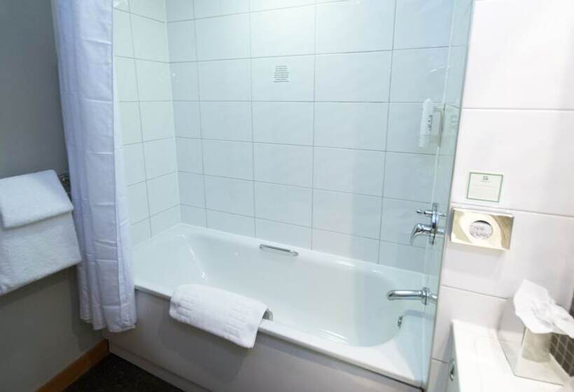 חדר סטנדרט, Holiday Inn Manchester Central Park By Ihg