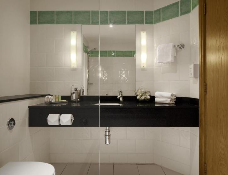 스위트, Radisson Blu Hotel & Spa, Little Island Cork