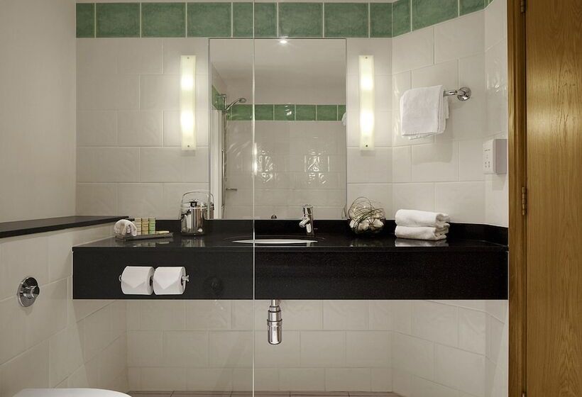 스위트, Radisson Blu Hotel & Spa, Little Island Cork