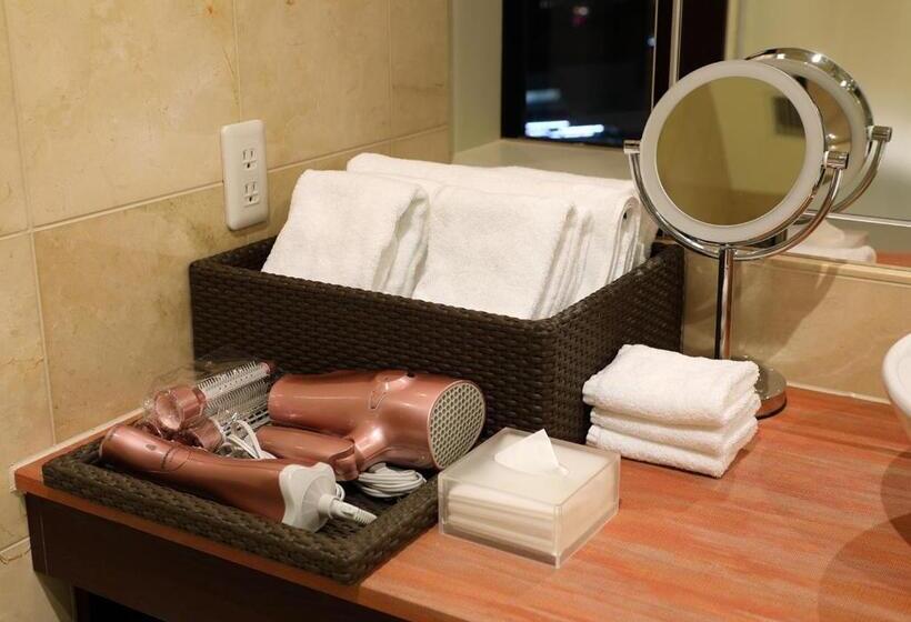 Полулюкс, Ana Crowne Plaza Okayama, An Ihg
