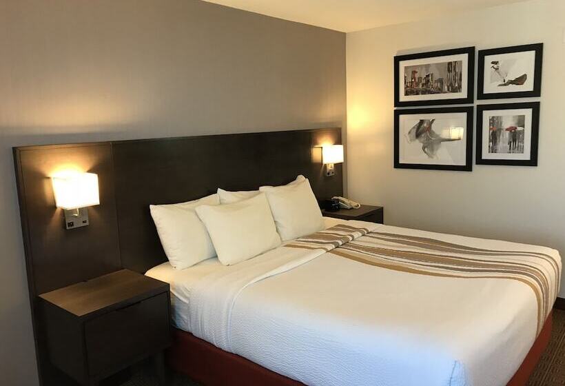 Номер Стандарт Двуспальная Кровать, La Quinta Inn By Wyndham Vancouver Airport