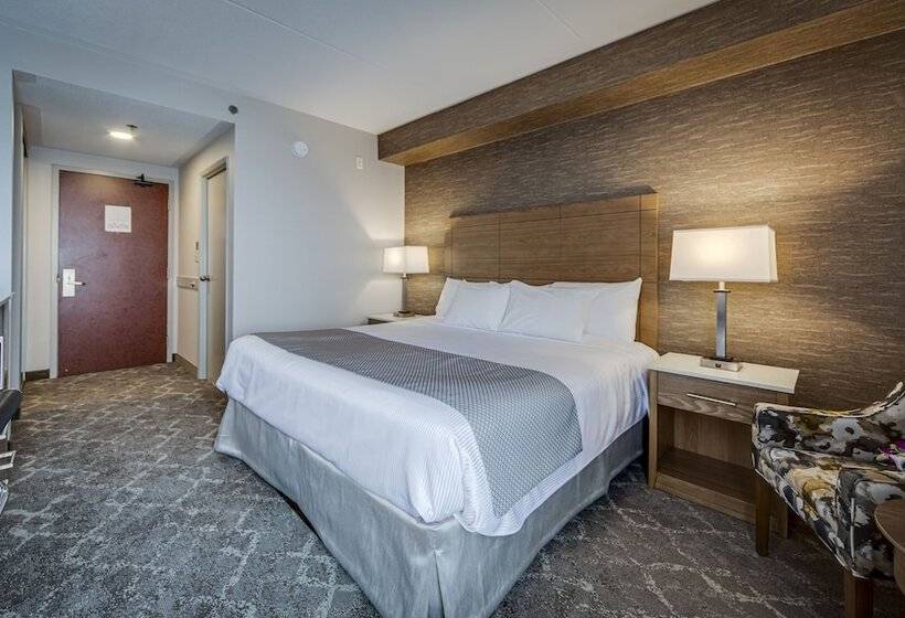 חדר סטנדרט מיטה זוגית, Monte Carlo Inn Vaughan Suites