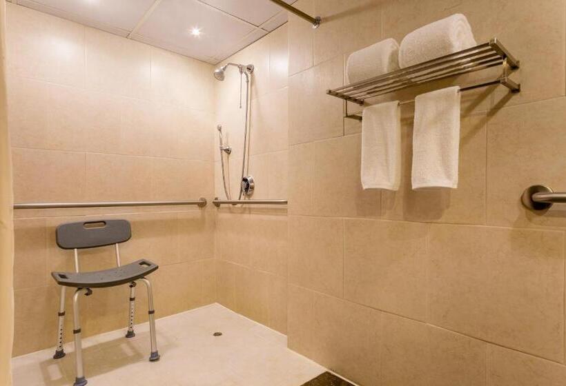 Номер Deluxe Вид на Город, Sheraton Grand Panama
