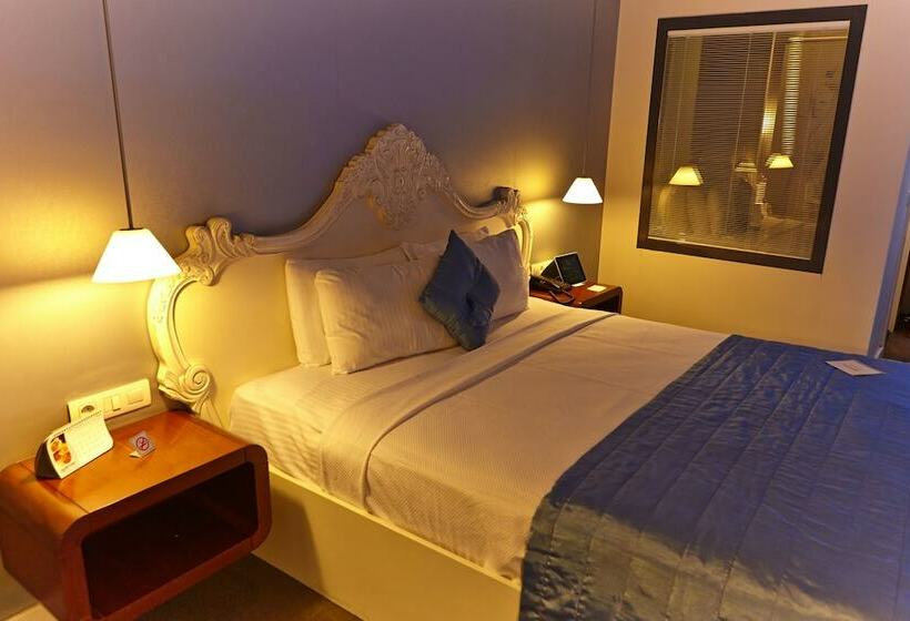 Quarto Estandar, Beyond