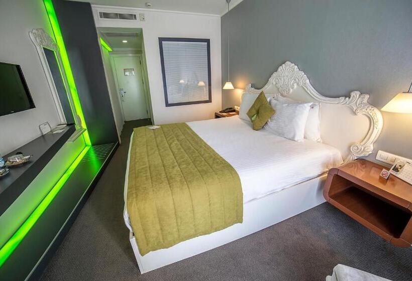 Quarto Estandar, Beyond