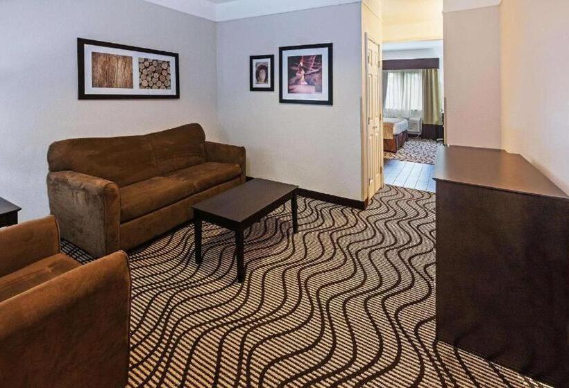 اتاق استاندارد با تخت بزرگ برای معلولان, La Quinta By Wyndham Pasadena