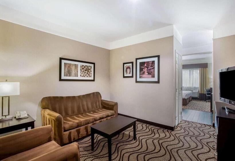 适合残疾人士使用的带超级大床的标准间, La Quinta By Wyndham Pasadena