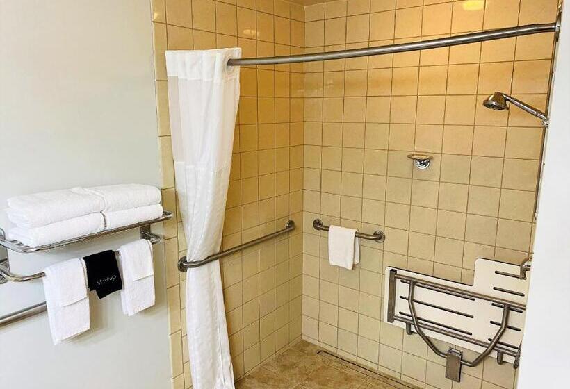 غرفة قياسية سرير كينج, Quality Inn & Suites Sequim At Olympic National Park