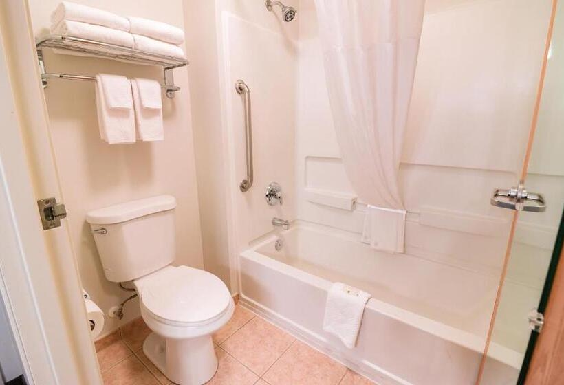스탠다드 룸 킹사이즈 침대, Quality Inn & Suites Sequim At Olympic National Park