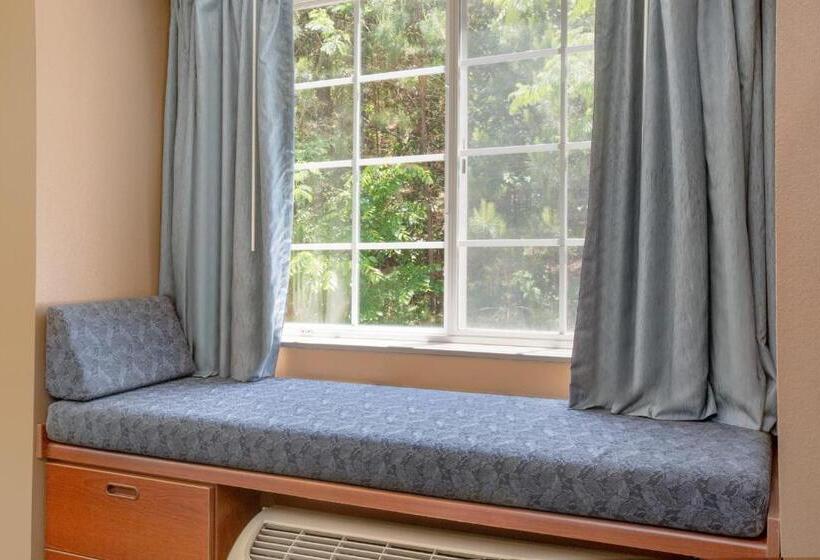 جناح, Microtel Inn & Suites By Wyndham Gardendale