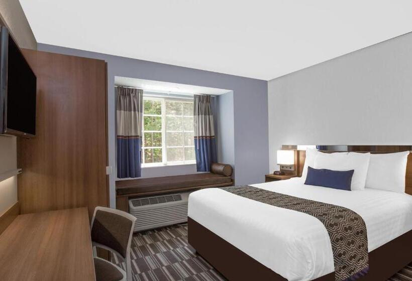 Номер Стандарт, Microtel Inn & Suites By Wyndham Gardendale