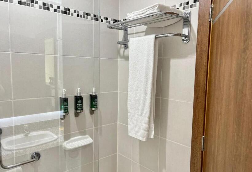 스탠다드 룸 킹사이즈 침대, Wyndham Garden Guayaquil