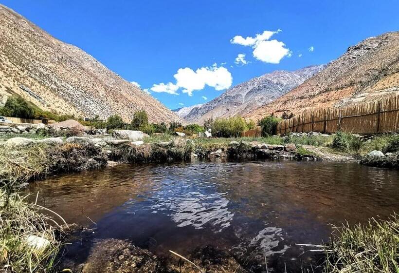 Семейное Бунгало, Reset Elqui