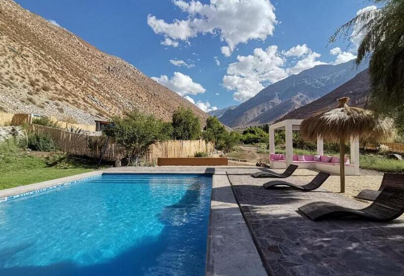 Семейное Бунгало, Reset Elqui