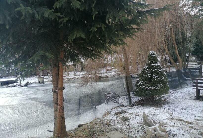 Номер Стандарт, Pensiunea Perla Maramuresului