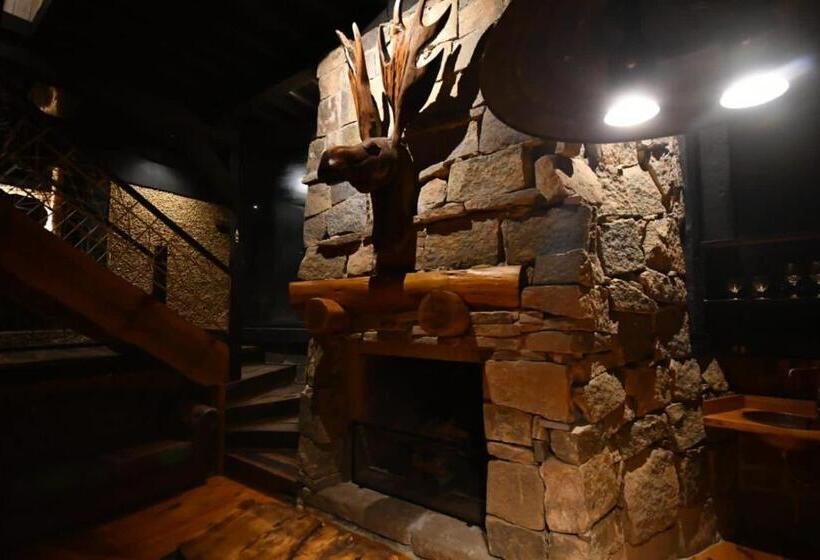 کلبه ییلاقی سوپریور یک خوابه, Art Bbq Lodge