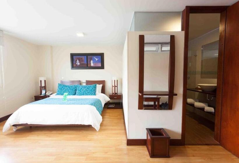 高级大房间, Loft