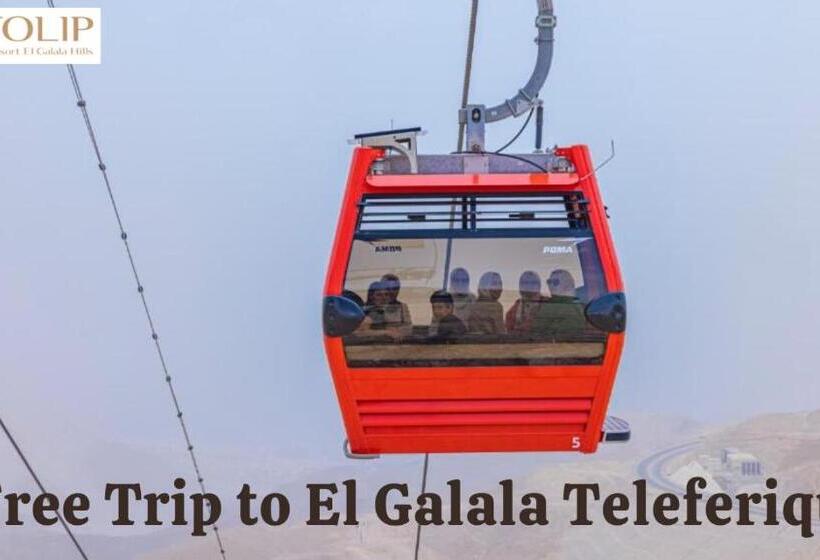اتاق سوپریور با چشم‌انداز دریا, Tolip Resort El Galala Hills
