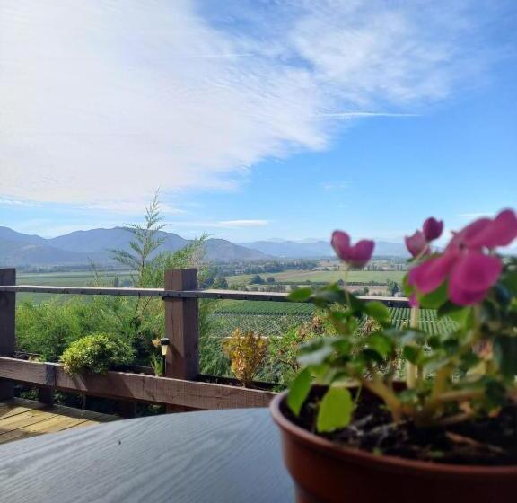 스탠다드 룸 킹사이즈 침대, Colchagua D Vino