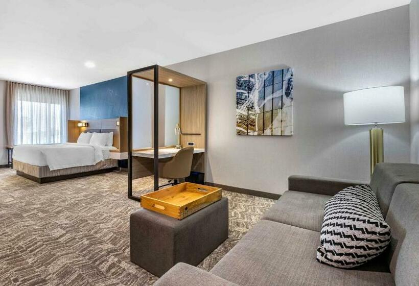 Люкс Кровать Кинг, Springhill Suites By Marriott Anaheim Placentia Fullerton