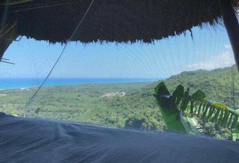 تختخواب در اتاق مشترک, Puerto Alto