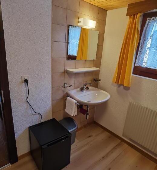 Одноместный Номер Basic, Auberge La Tzoumaz