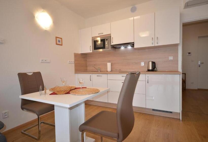 １ベッドルームアパートメント, Apartmány Viva Třeboň