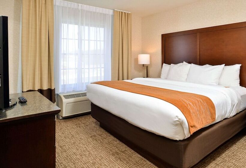 장애인을 위한 스위트, Comfort Inn & Suites Madison North