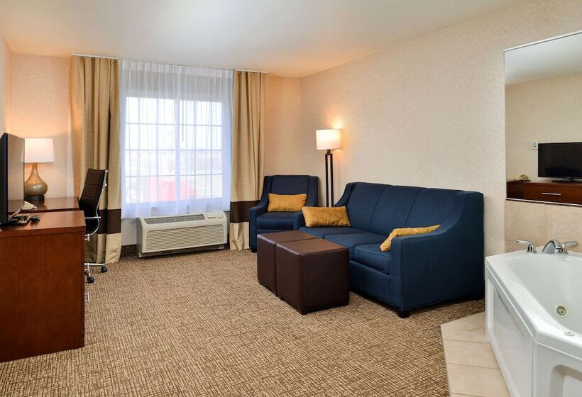 Suíte para Deficientes Físicos, Comfort Inn & Suites Madison North