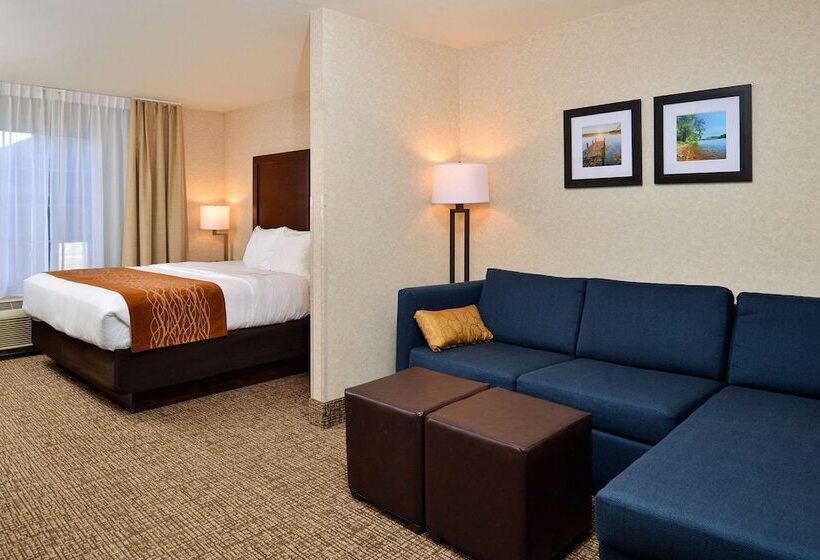 Suíte para Deficientes Físicos, Comfort Inn & Suites Madison North