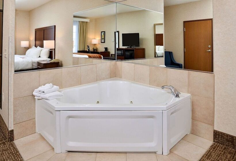 Suíte para Deficientes Físicos, Comfort Inn & Suites Madison North