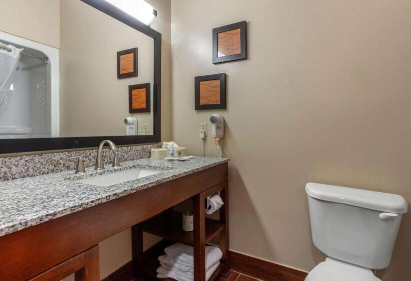 Люкс, Comfort Suites