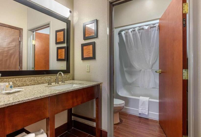 Люкс Адаптированный для Инвалидов, Comfort Suites