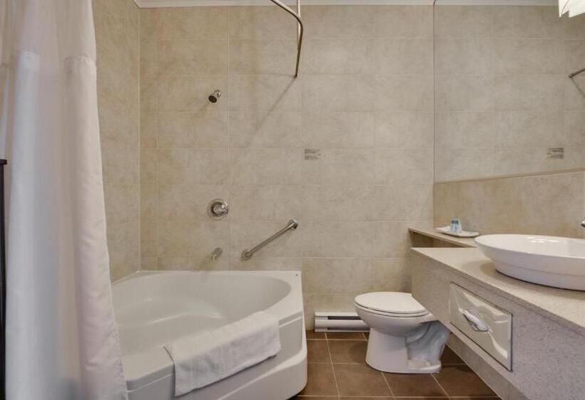 Номер Стандарт Внутренний, Hôtel Et Pavillons Le Petit Manoir Du Casino