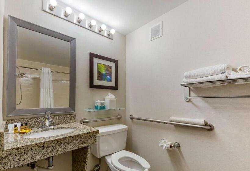 Люкс Адаптированный для Инвалидов, Best Western Plus Cary   Nc State