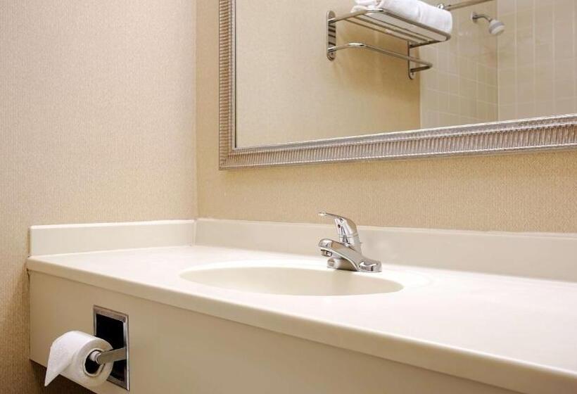 Номер Стандарт 2 Двуспальные Кровати, Best Western Plus Cary   Nc State