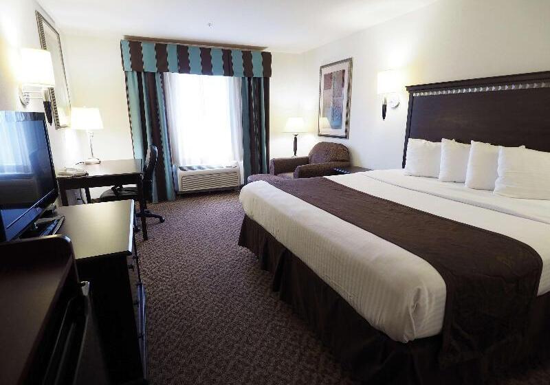 キングサイズベッドのスタンダードルーム, Country Inn & Suites By Radisson, Canton, Ga