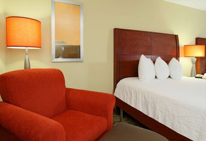 Номер Стандарт Адаптированный для Инвалидов, Hilton Garden Inn Columbus Airport