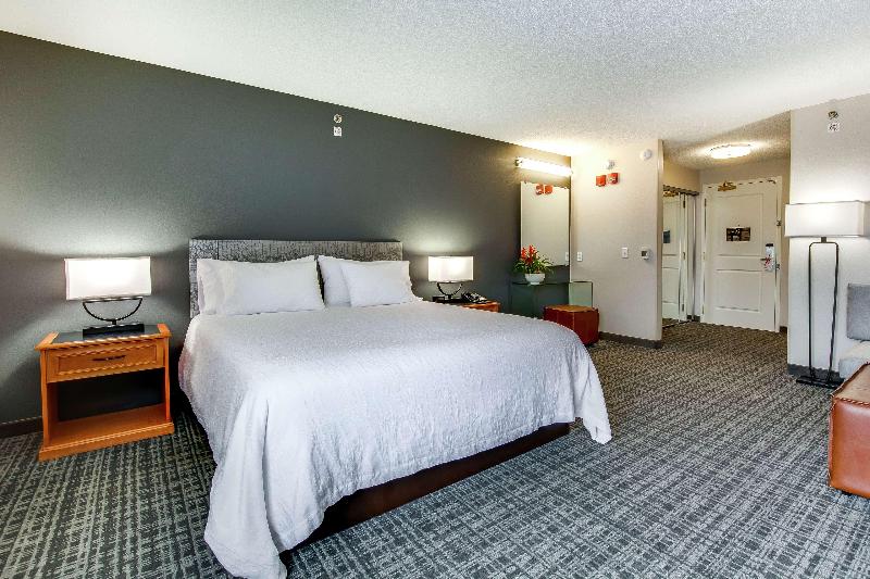 سوئیت با تخت بزرگ, Hilton Garden Inn Louisville Airport