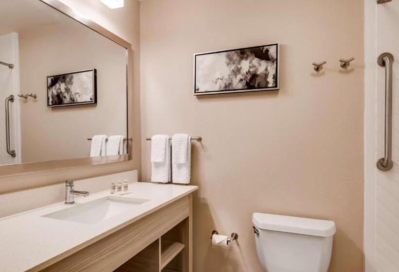 Номер Стандарт Кровать Кинг Адаптированный для Инвалидов, Best Western Premier I95 Savannah Airport/ Pooler West